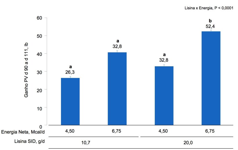 Figura 1A. Efeitos da alimentação com diferentes níveis de lisina e energia, do dia 90 ao dia 111 de gestação, no ganho de PV de primíparas e porcas. As médias com um super-índice diferente dentro do nível de Lis SID são diferentes (P <0,05).